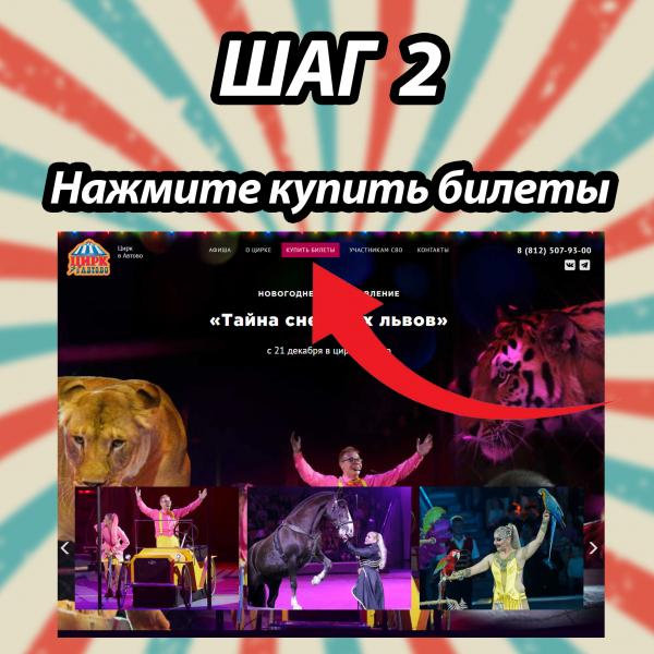 Цирк Автово в Санкт-Петербурге - купить билеты онлайн со скидкой 20%! — фото 3
